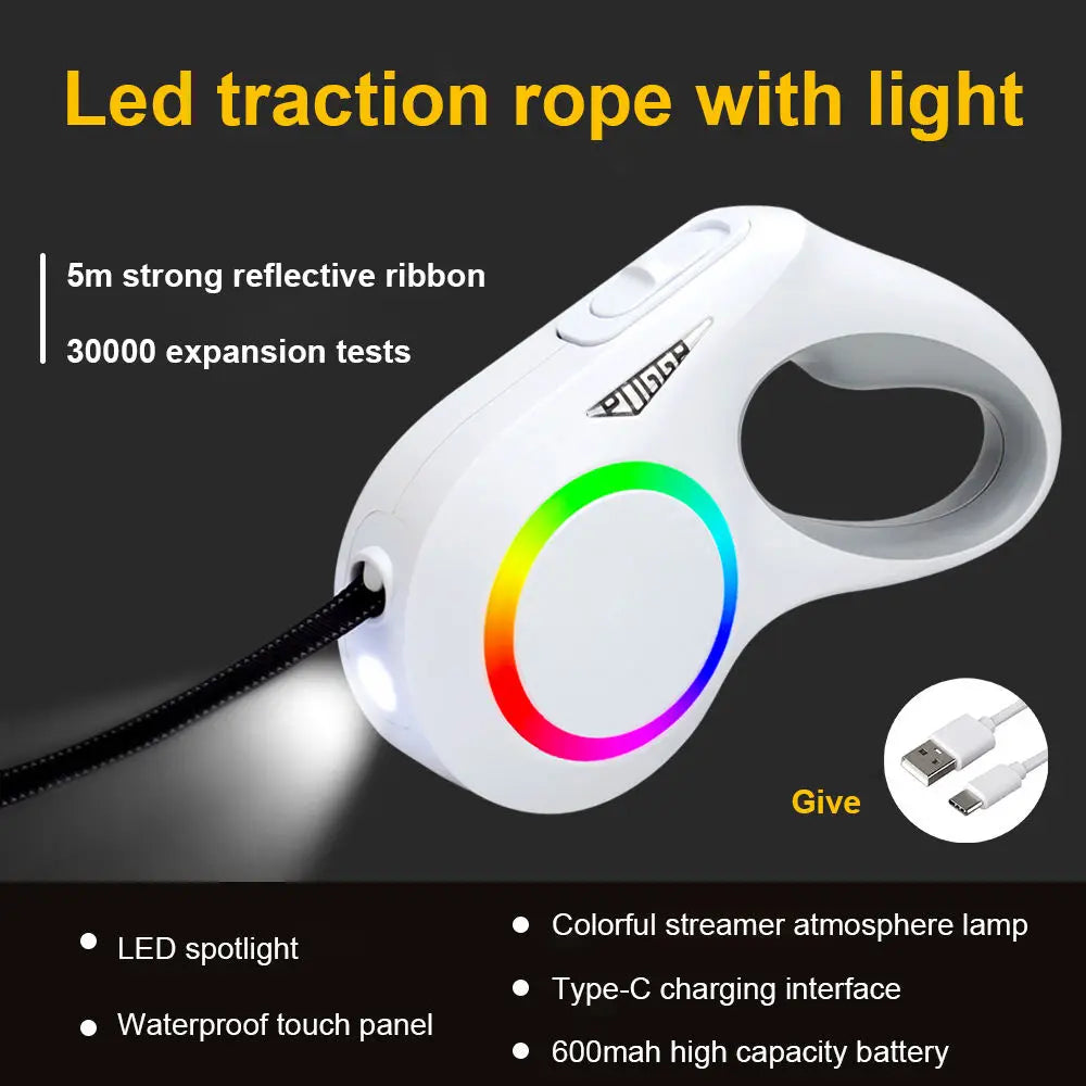 LED Dog Leash with USB Charge for Night Walking Safety