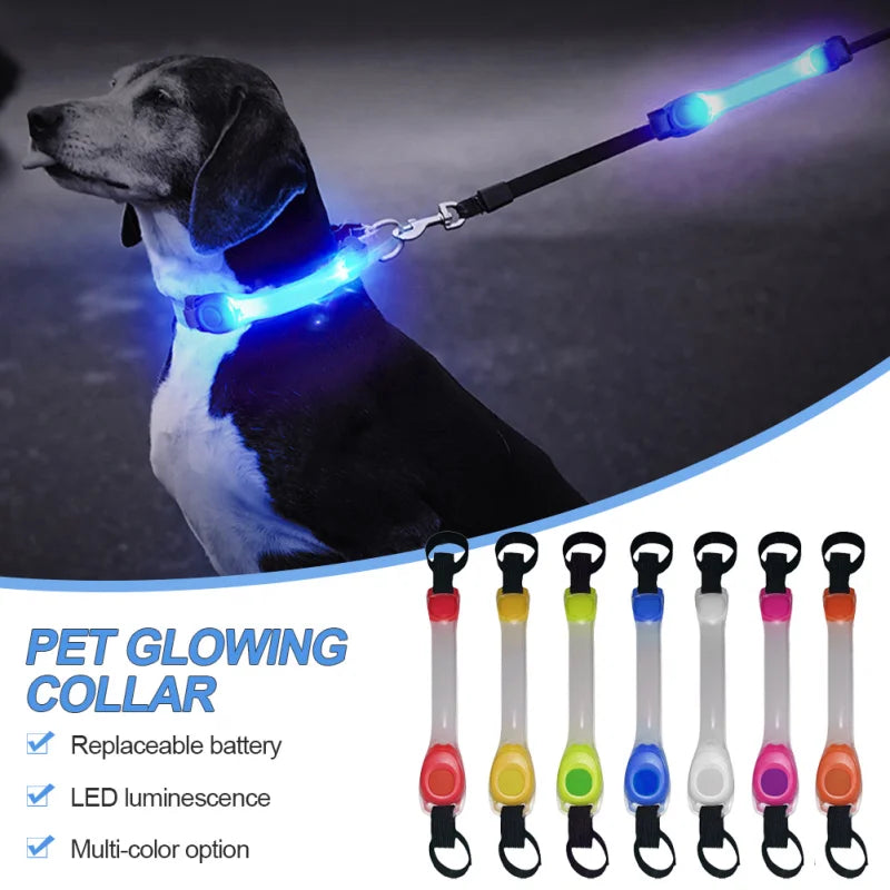 LED Dog Collar & Leash Harness