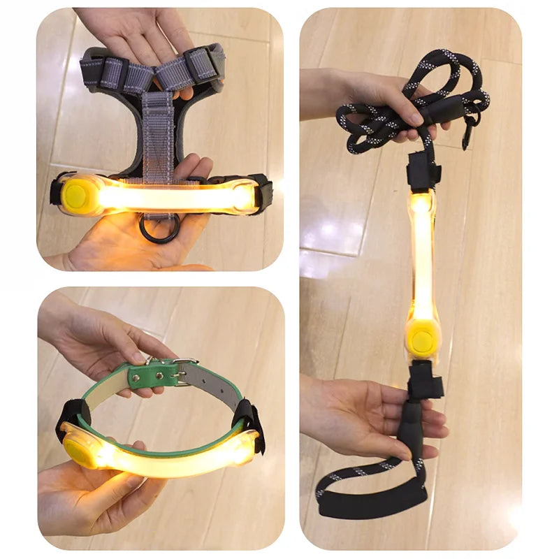 LED Dog Collar & Leash Harness