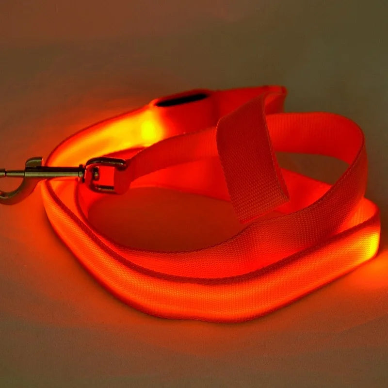 LED Light Up Dog Leash For Night Safety