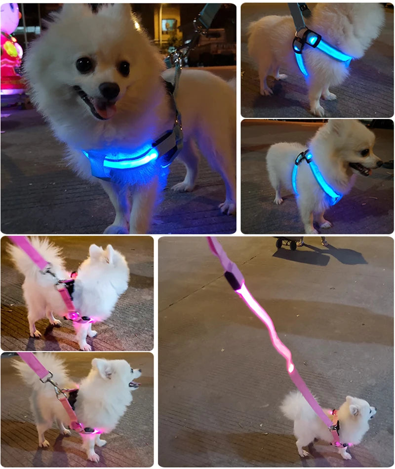 Adjustable LED Dog Harness for Night Safety
