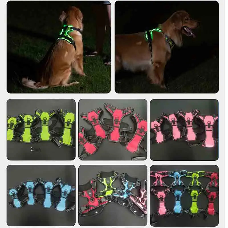 LED Glowing Dog Harness for Nighttime Walks