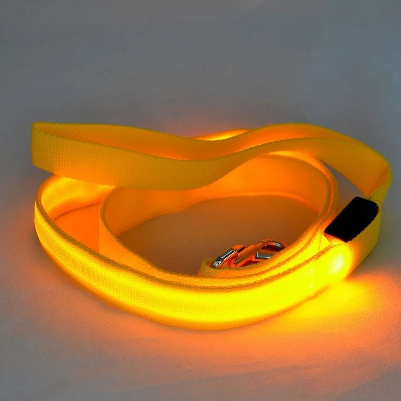 LED Light Up Dog Leash For Night Safety