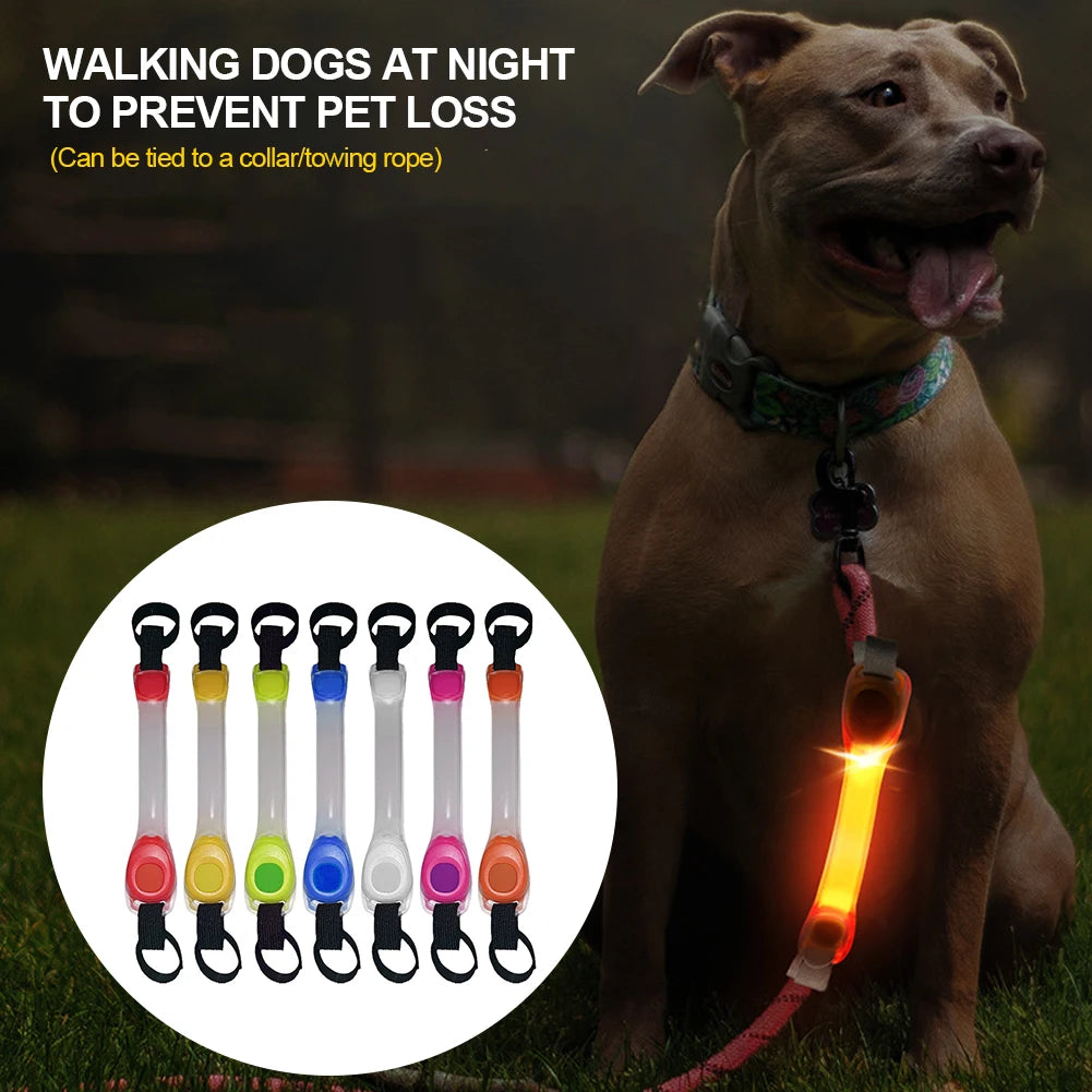 LED Dog Collar & Leash Harness