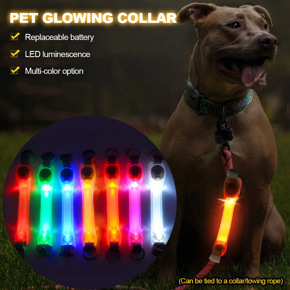 LED Dog Collar & Leash Harness