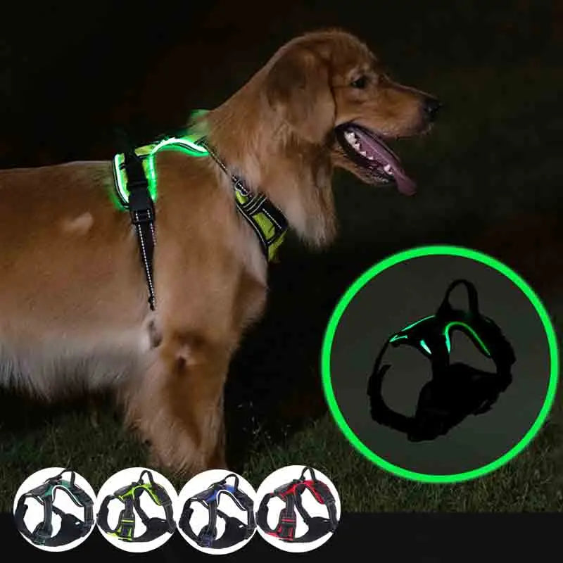 LED Glowing Dog Harness for Nighttime Walks