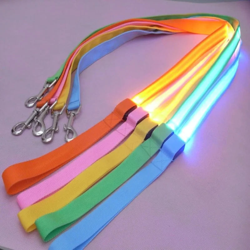 LED Light Up Dog Leash For Night Safety