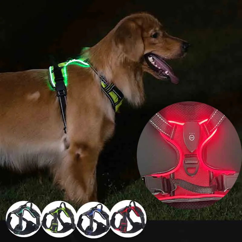 LED Glowing Dog Harness for Nighttime Walks