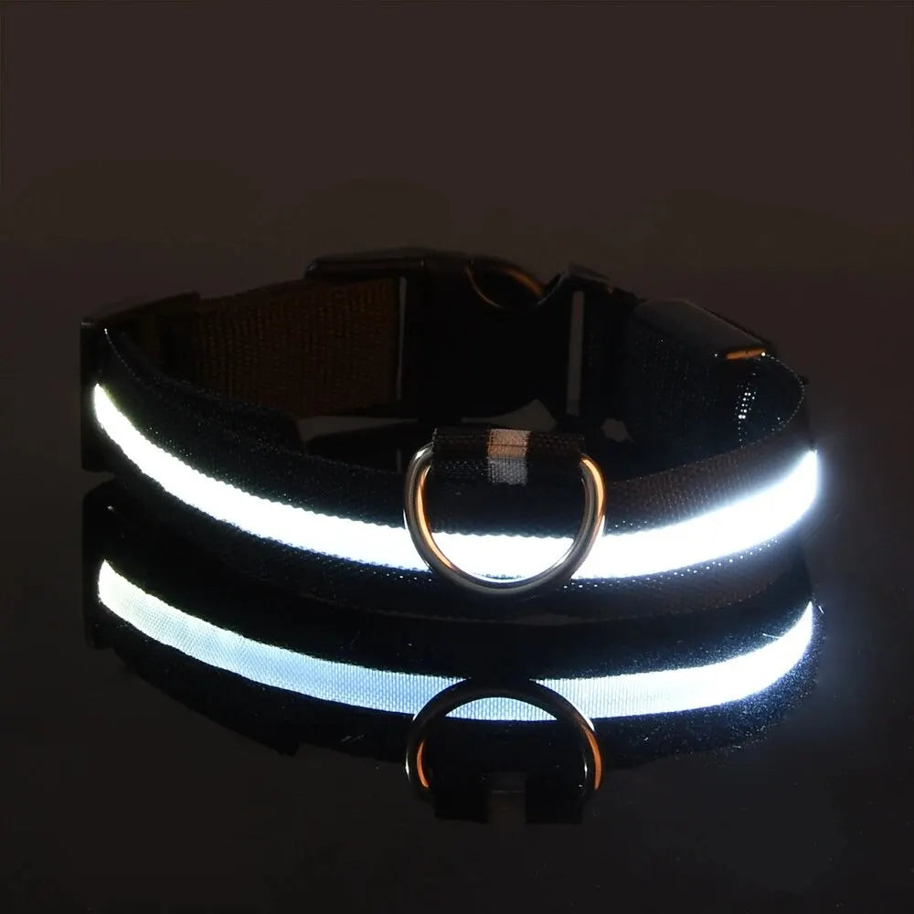 Reflective LED Dog Collar for Night Safety - Durable, Geometric Patterned, Battery-Powered