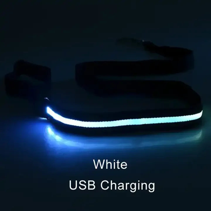 LED Light Up Dog Leash For Night Safety