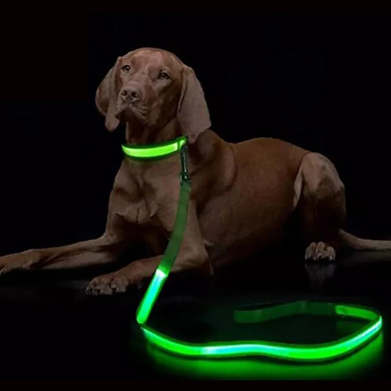 LED Light Up Dog Leash For Night Safety