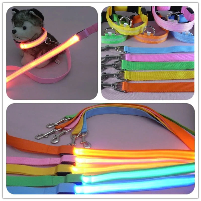 LED Light Up Dog Leash For Night Safety