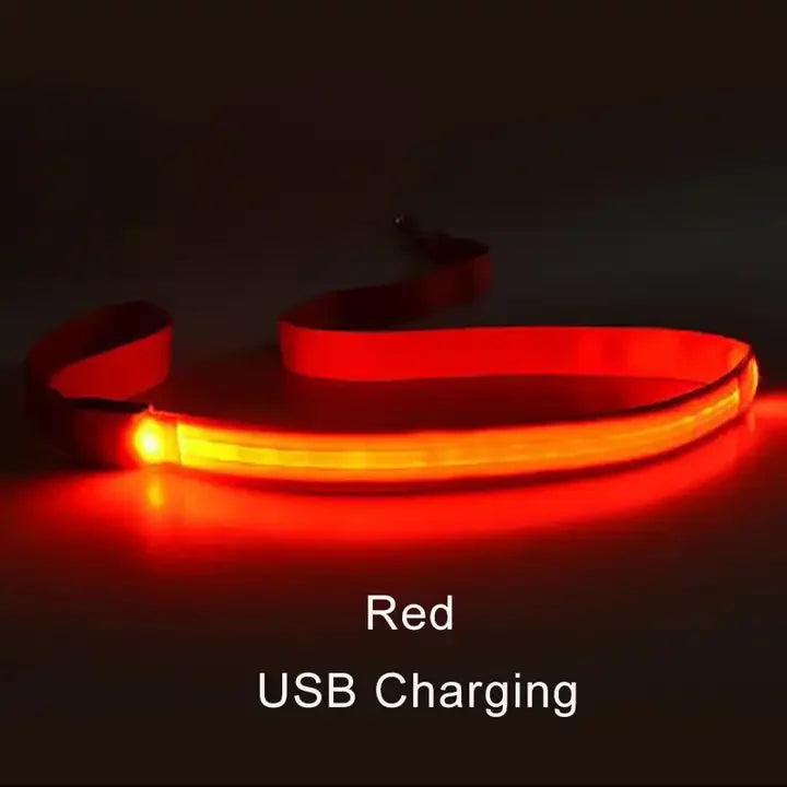 LED Light Up Dog Leash For Night Safety
