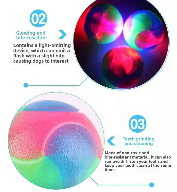 LED Dog Toy - Bite Resistant Safe Material