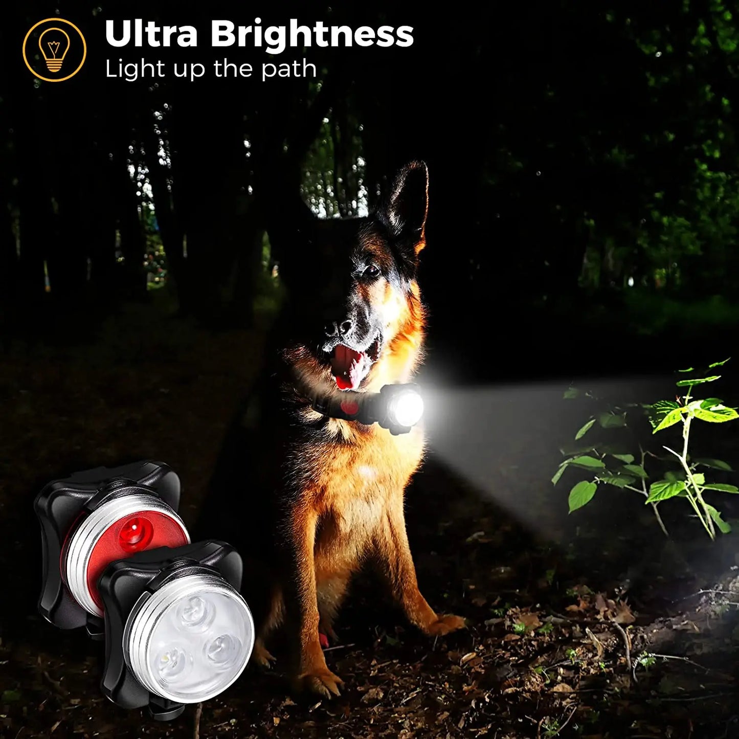 LED Dog Lamp Flashlight for Night Safety