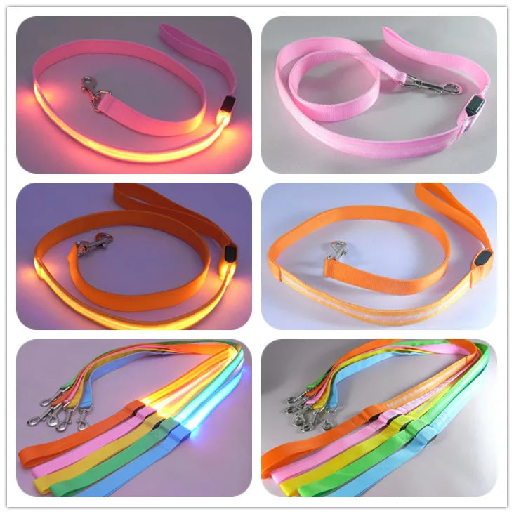 LED Light Up Dog Leash For Night Safety