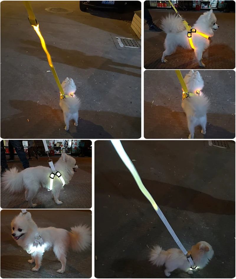 Adjustable LED Dog Harness for Night Safety