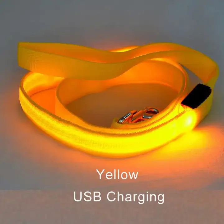 LED Light Up Dog Leash For Night Safety