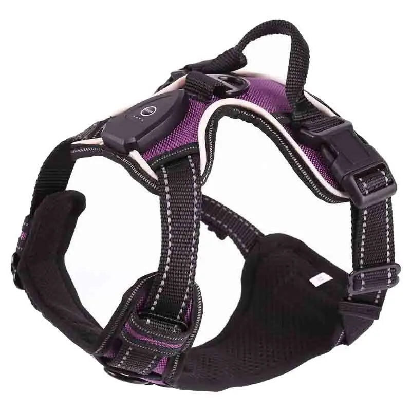 LED Glowing Dog Harness for Nighttime Walks