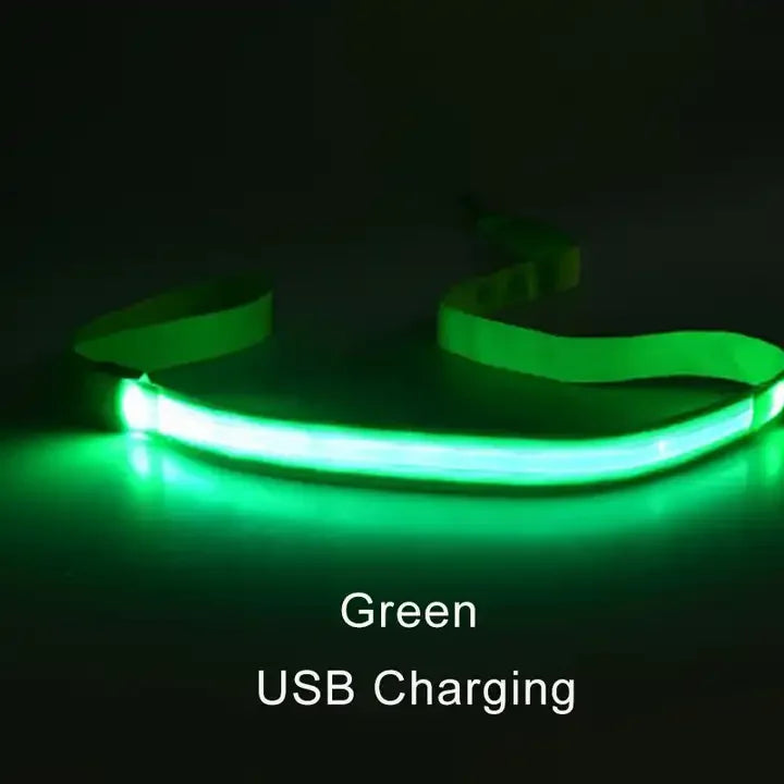 LED Light Up Dog Leash For Night Safety