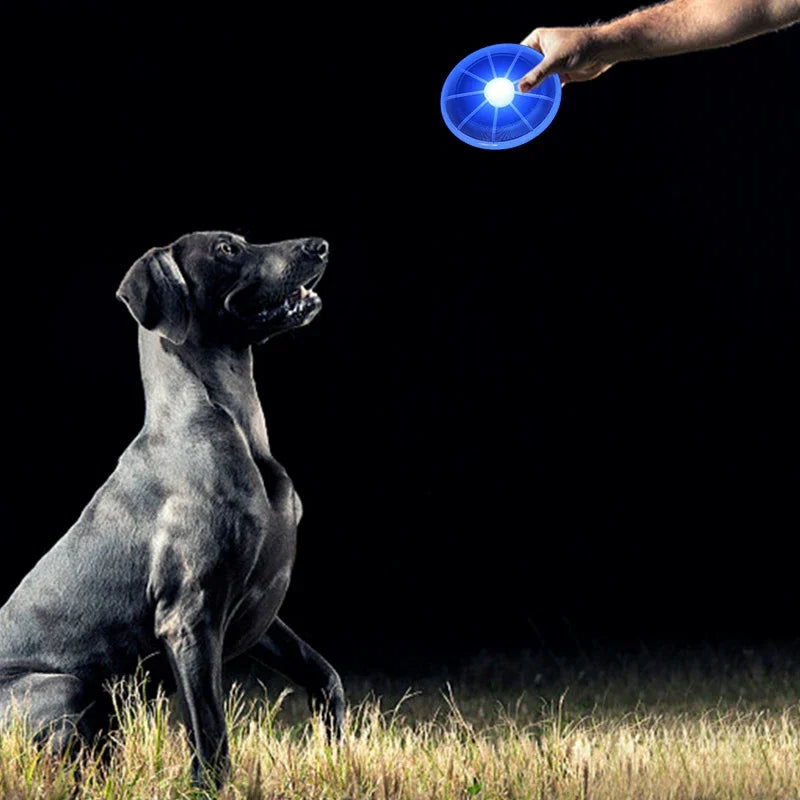Flying Disk Dog Toy