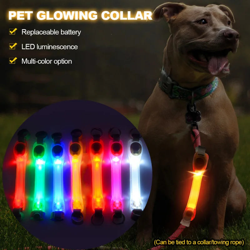 LED Dog Collar & Leash Harness