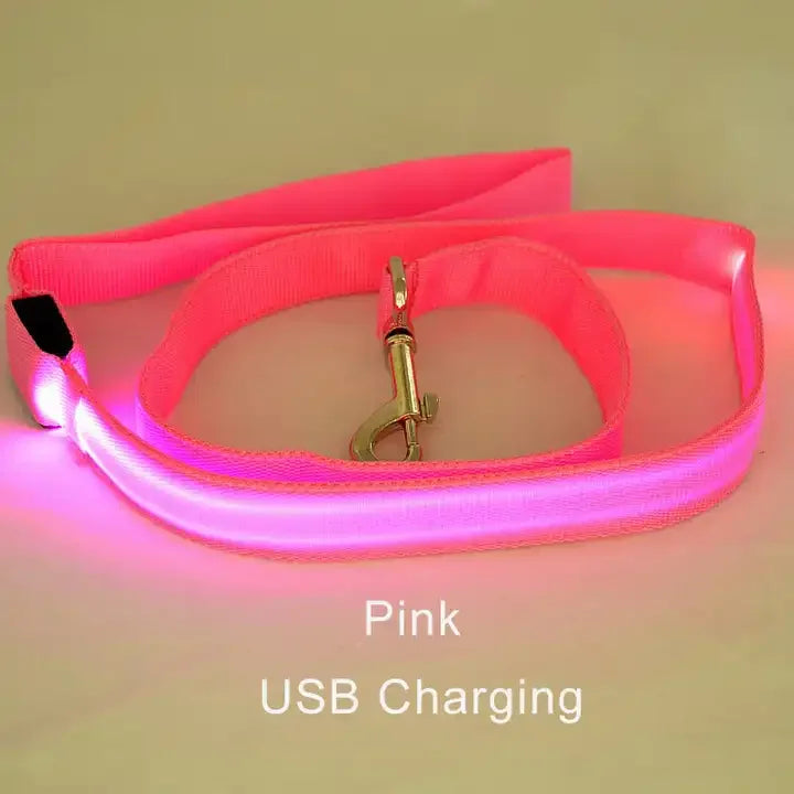 LED Light Up Dog Leash For Night Safety