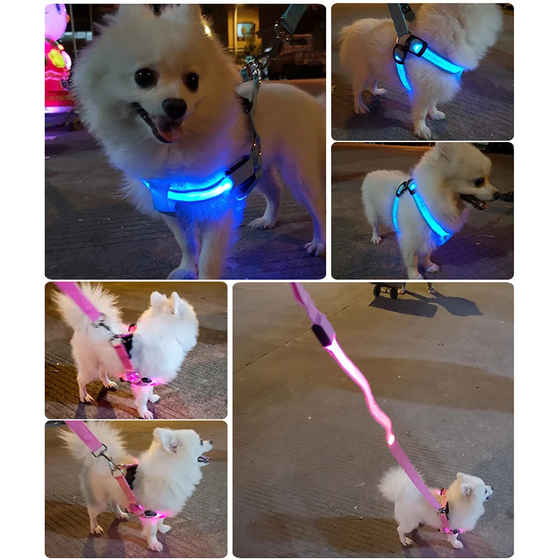 Adjustable LED Dog Harness for Night Safety