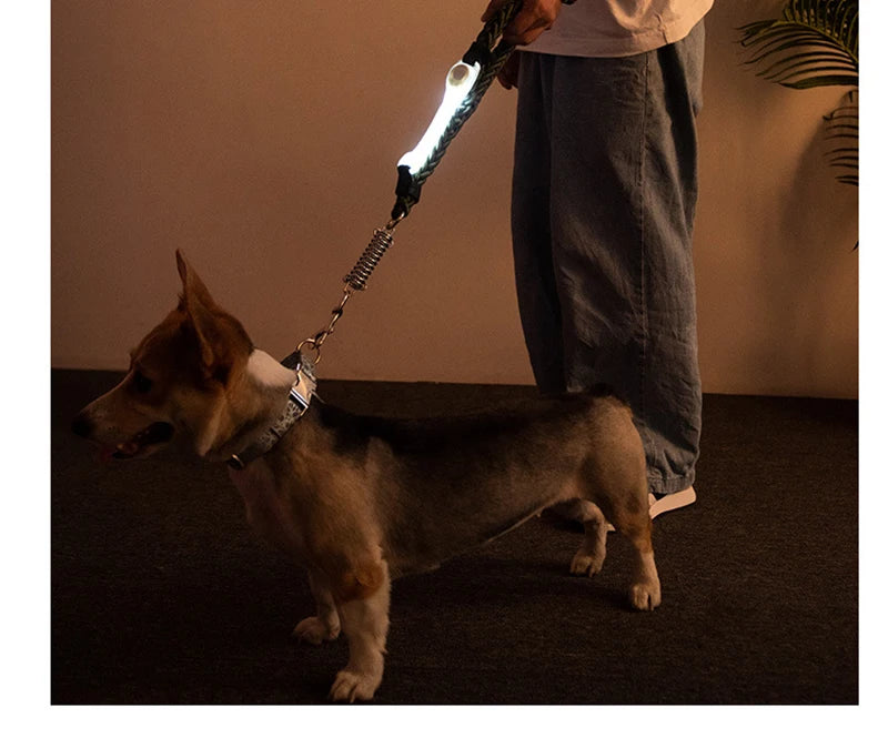 Luminous Strap For Dog Collar Harness Leash