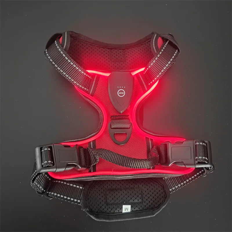 LED Glowing Dog Harness for Nighttime Walks
