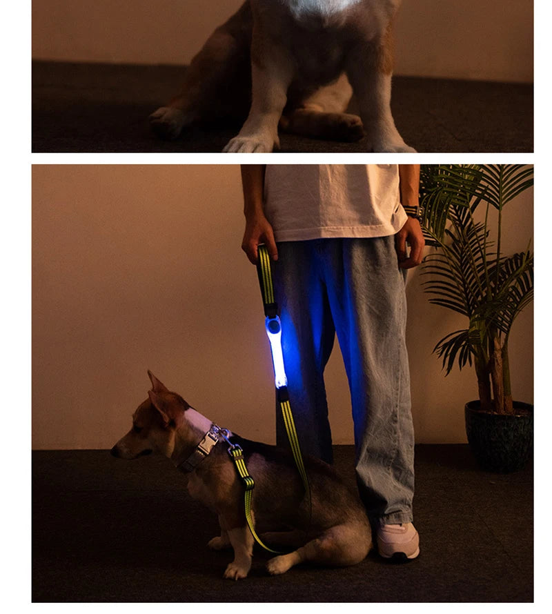 Luminous Strap For Dog Collar Harness Leash