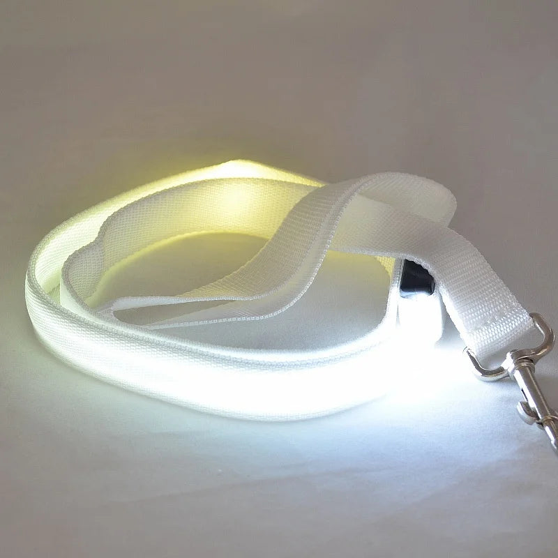 LED Light Up Dog Leash For Night Safety