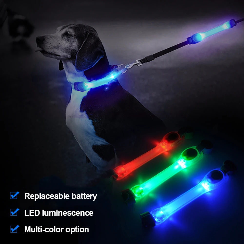 LED Dog Collar & Leash Harness