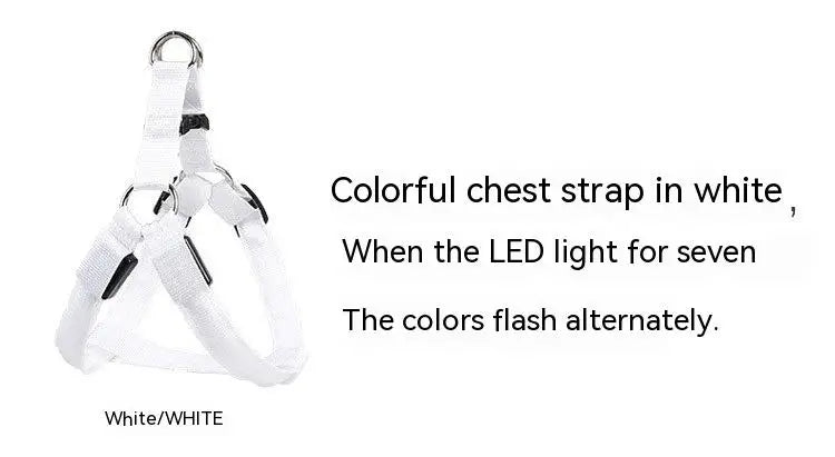 Adjustable LED Dog Harness for Night Safety