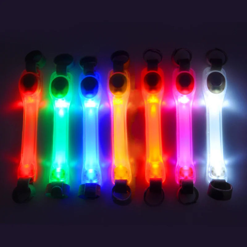 LED Dog Collar & Leash Harness
