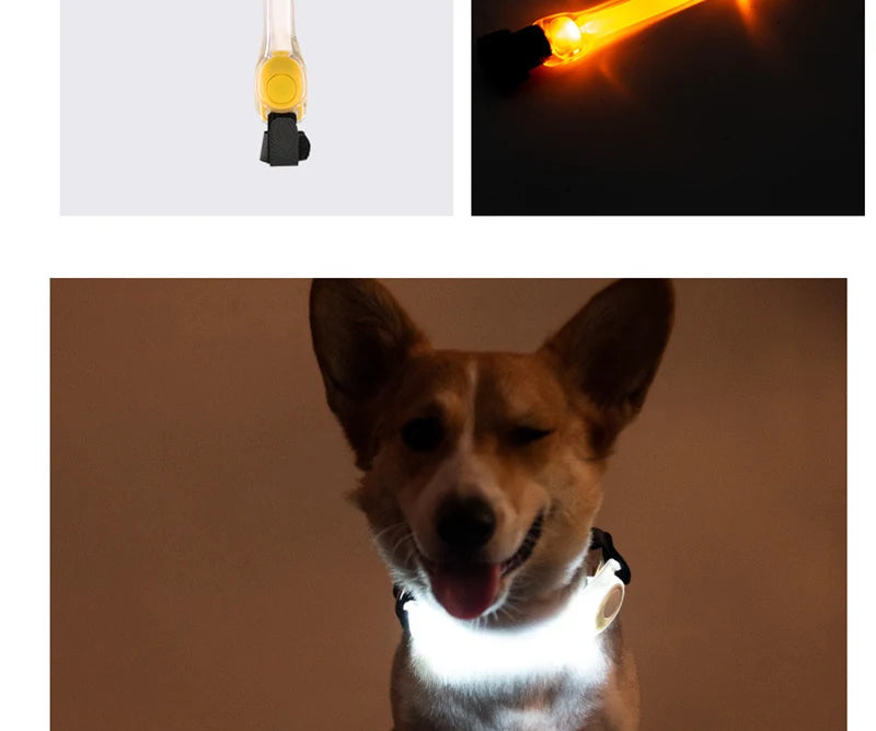 Luminous Strap For Dog Collar Harness Leash