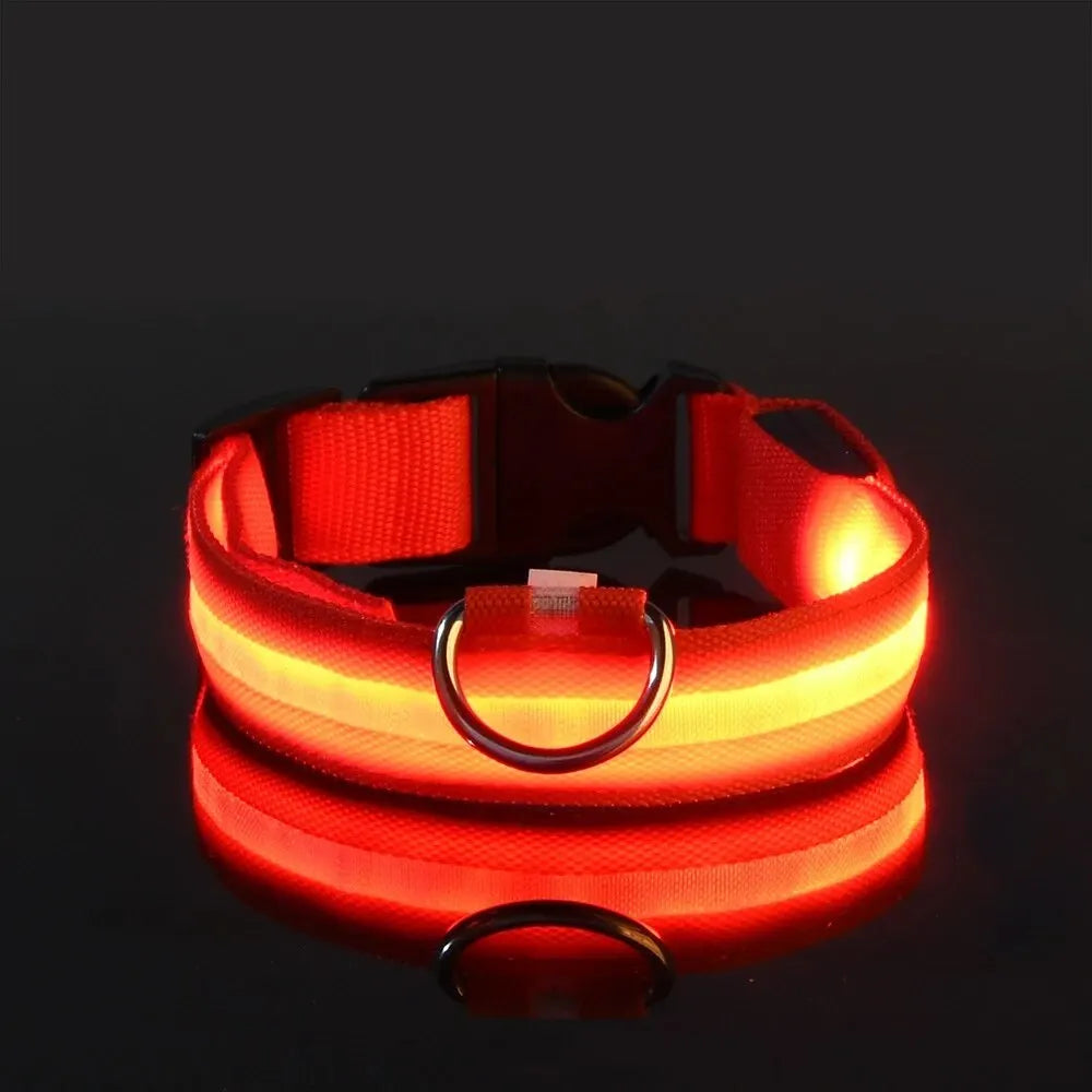 Reflective LED Dog Collar for Night Safety - Durable, Geometric Patterned, Battery-Powered