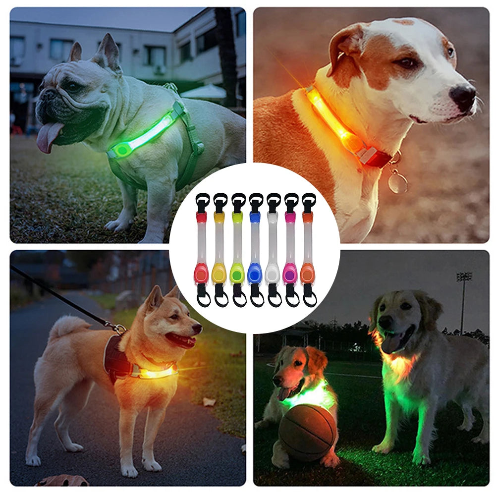 LED Dog Collar & Leash Harness
