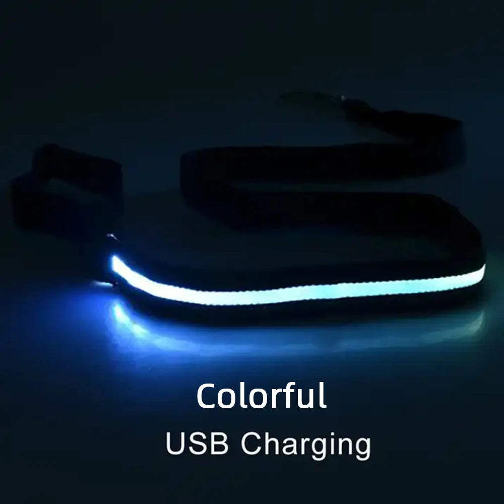 LED Light Up Dog Leash For Night Safety