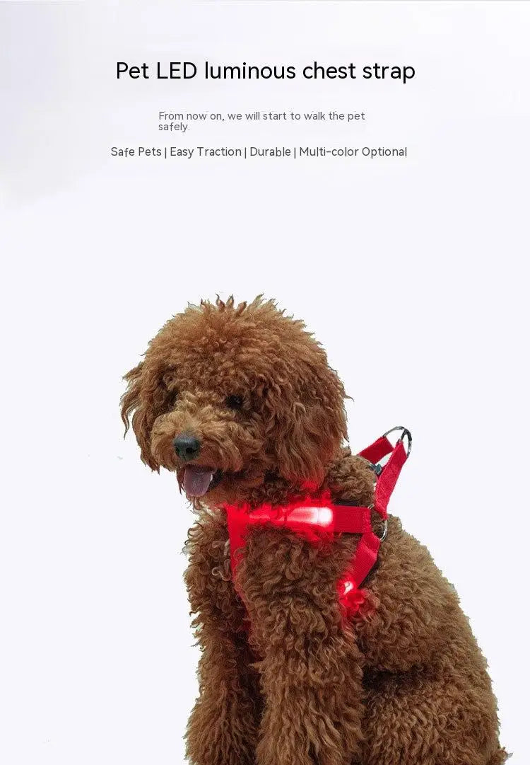 Adjustable LED Dog Harness for Night Safety