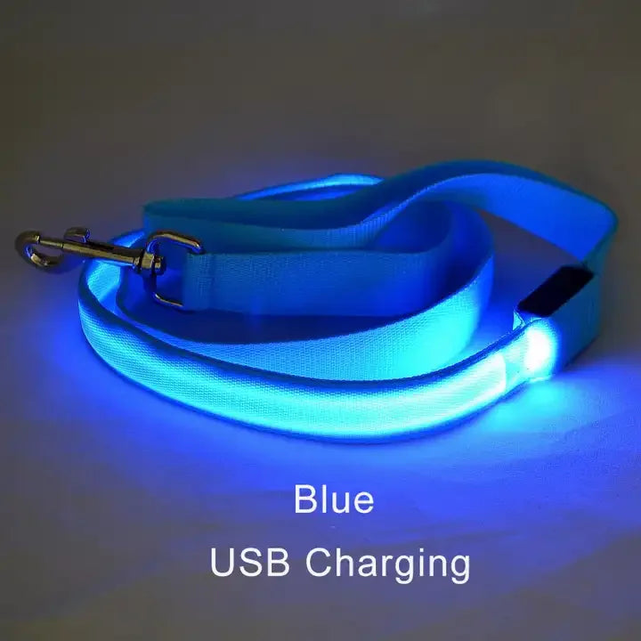 LED Light Up Dog Leash For Night Safety
