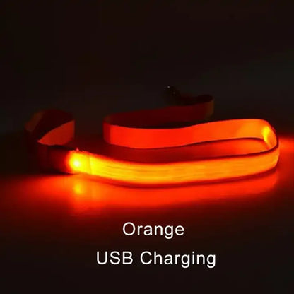 LED Light Up Dog Leash For Night Safety