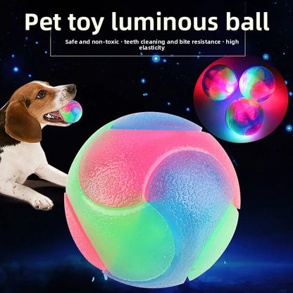 LED Dog Toy - Bite Resistant Safe Material