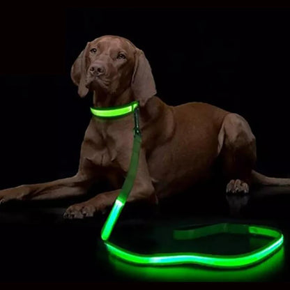 LED Light Up Dog Leash For Night Safety