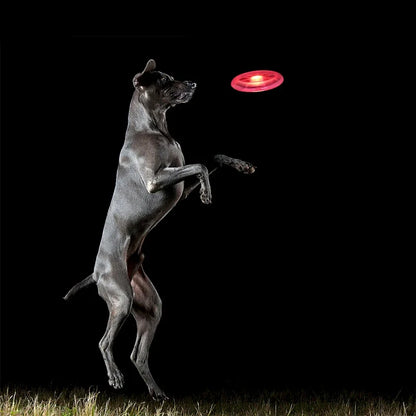 Flying Disk Dog Toy
