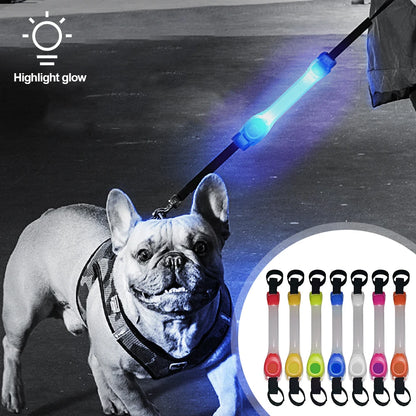LED Dog Collar & Leash Harness