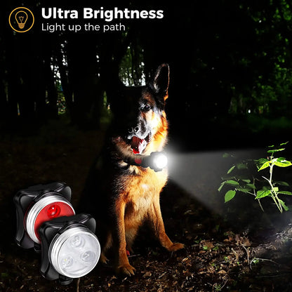 LED Dog Lamp Flashlight for Night Safety