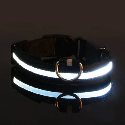 Reflective LED Dog Collar for Night Safety - Durable, Geometric Patterned, Battery-Powered