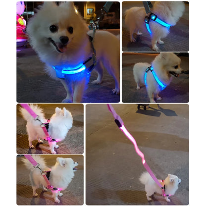 Adjustable LED Dog Harness for Night Safety