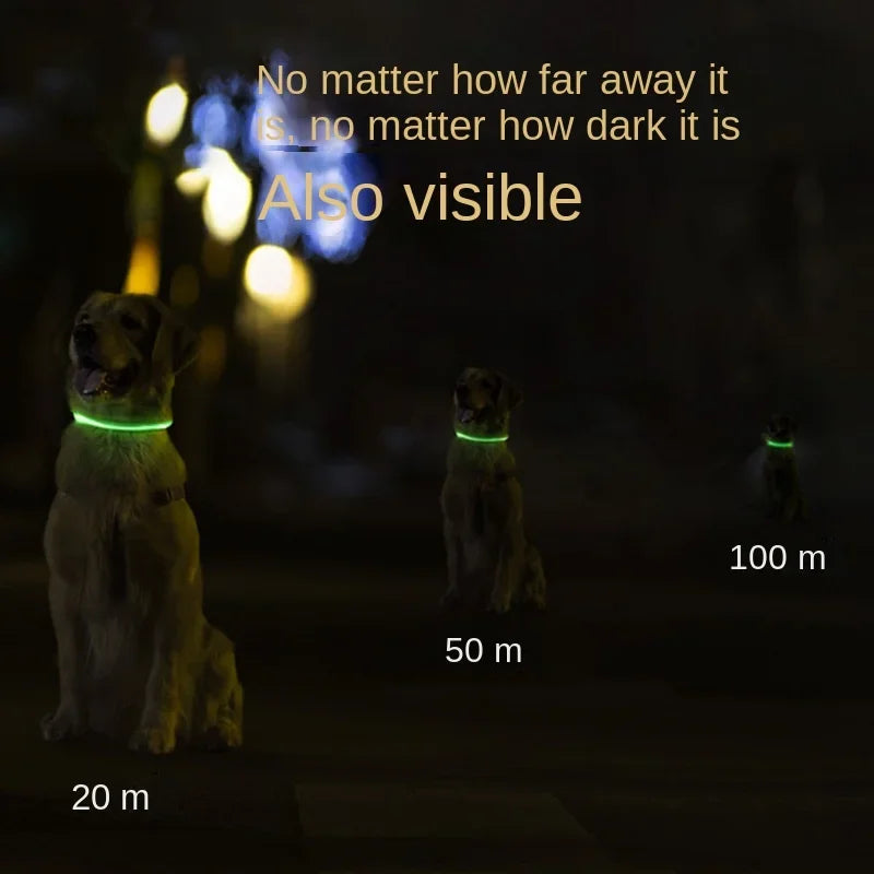 Adjustable LED Dog Collar - USB Rechargeable